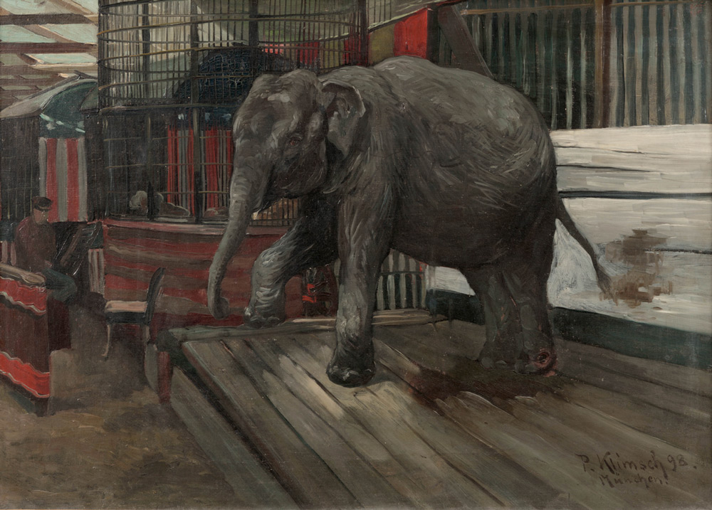 Paul Klimsch - The Elephant