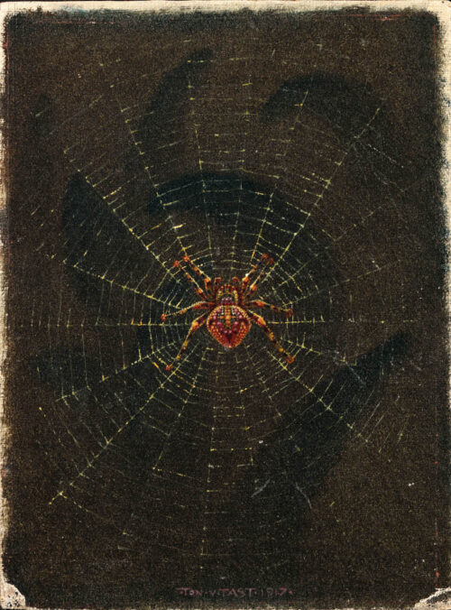 Ton van Tast - Spider in a web Ton van Tast - Spider in a web