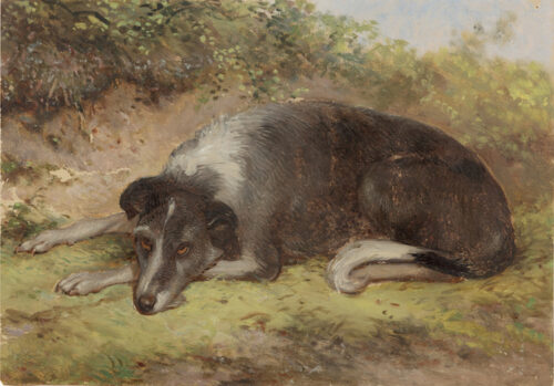 Ary Johannes Lamme - Dog Ary Johannes Lamme - Dog