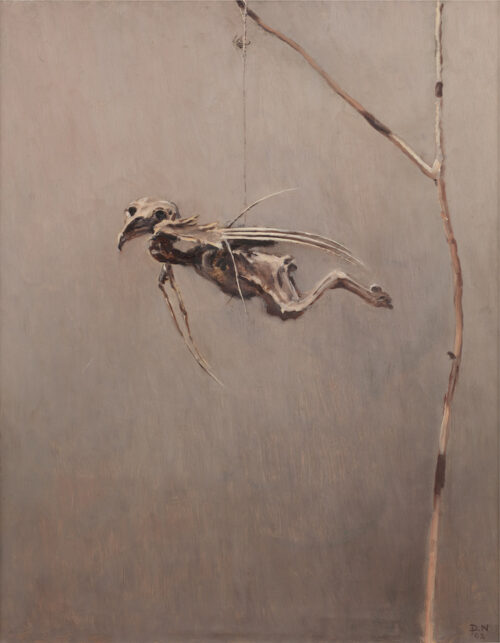 Dirk Nijland - Hanging bird skeleton Dirk Nijland - Hanging bird skeleton