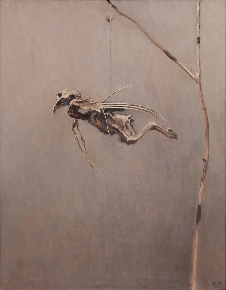 Dirk Nijland - Hanging bird skeleton