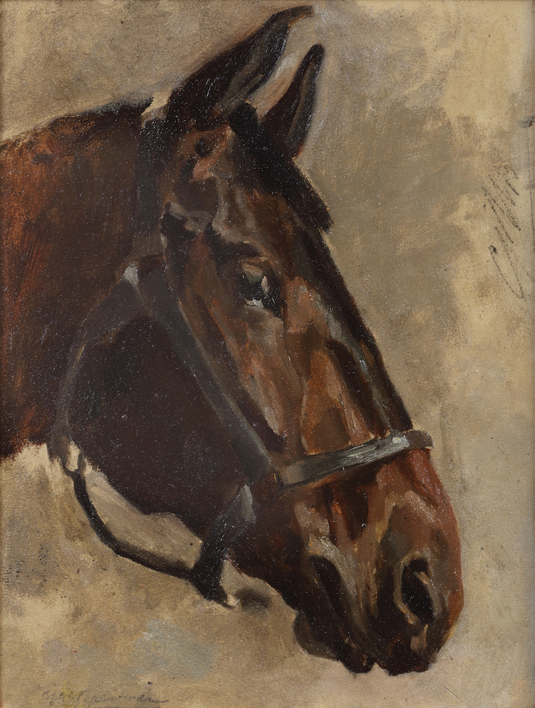 Breitner-head of a horse