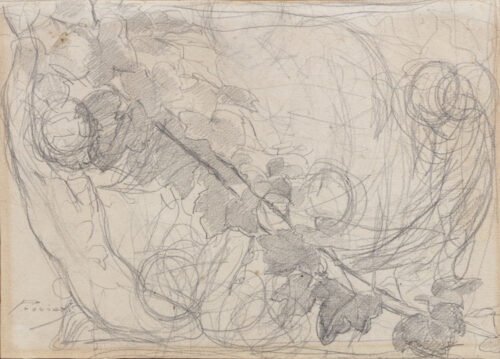 Gaetano Previati-Vines (recto) Gaetano Previati-Vines (recto)