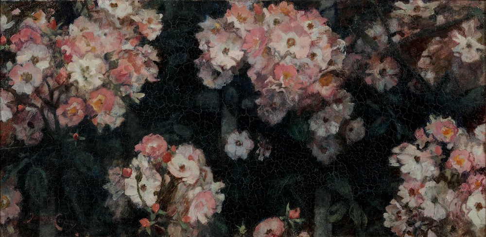 Jacobus van Looy-Bunch roses