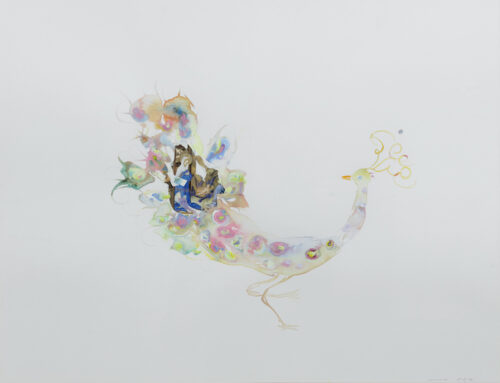 Marc Mulders-Peacock Marc Mulders-Peacock