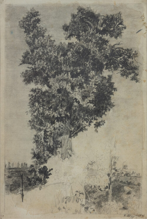 Giuseppe de Nittis-Study of a tree
