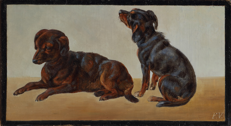 Friedrich Voltz-Dogs, dachshund