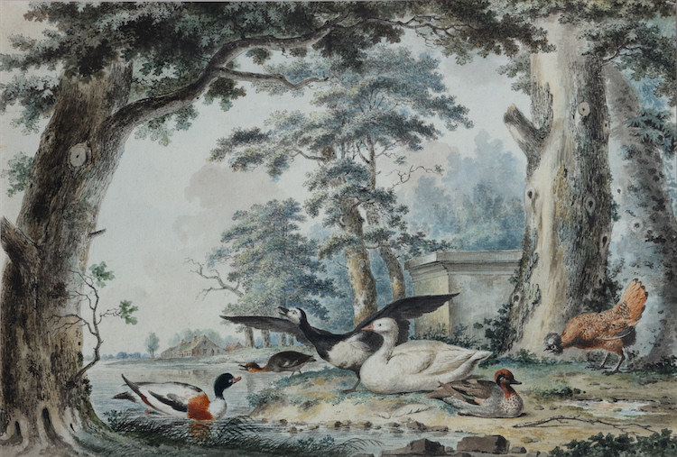 Christian Henning-A water landscape with a barnacle goose, a domestic goose, a red breasted merganser, a Polish chicken and a shelduck