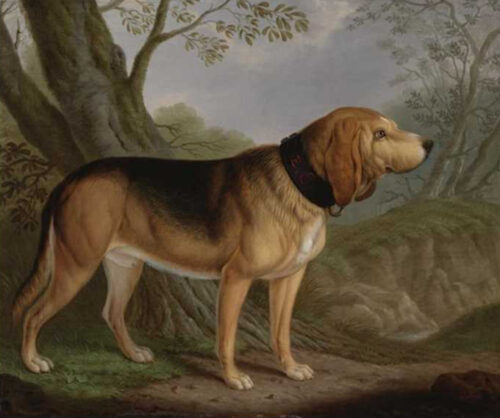 Christian Wilhelm Karl Kehrer-A bloodhound in a landscape