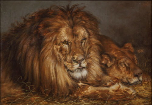 Adolphe Cnops-Lions resting