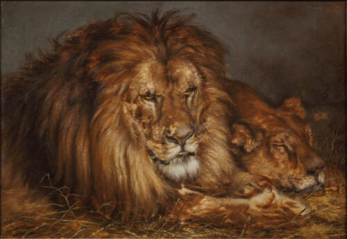 Adolphe Cnops-Lions resting Adolphe Cnops-Lions resting