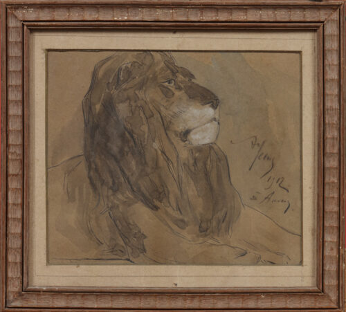 Armand Heins-Lions-01 Armand Heins-Lions-01