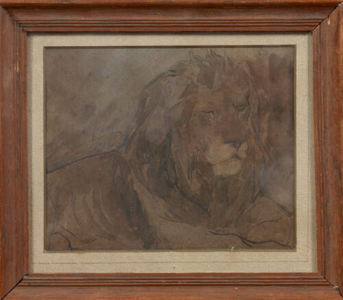 Armand Heins-Lions-02 Armand Heins-Lions-02