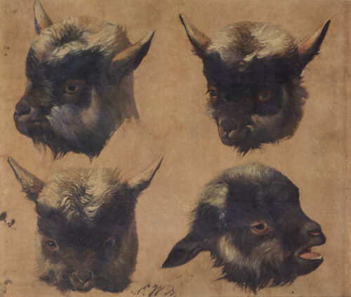 Eugene Verboeckhoven-Young Goats