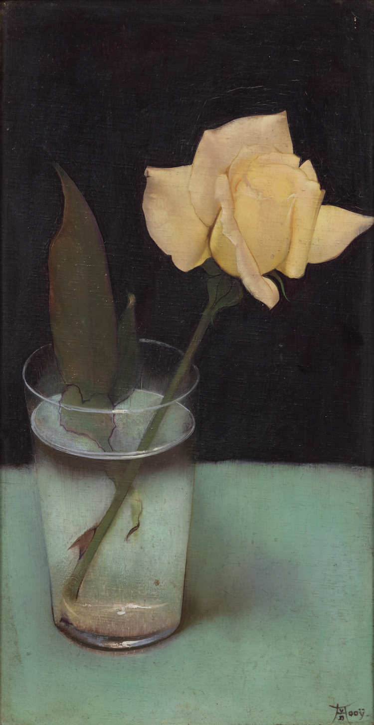 Henri van der Kooij-A rose in a glass vase