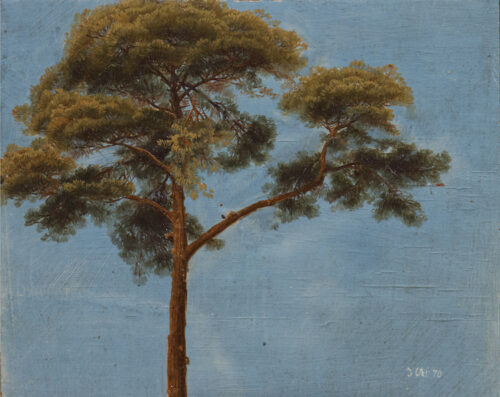 Attributed to Max Gierymski-An Umbrella Pine-A Study Attributed to Max Gierymski-An Umbrella Pine-A Study