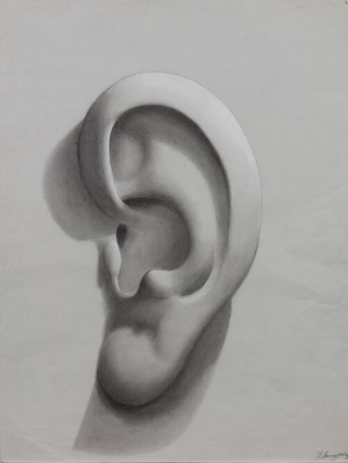 Jacobus Storm-An Ear