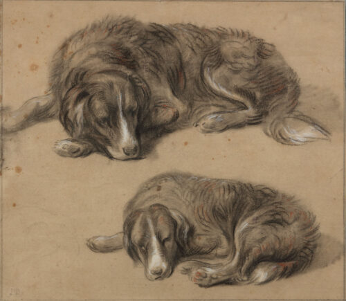 Jan Dasveldt-Study of Two Dogs