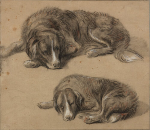 Jan Dasveldt-Study of Two Dogs Jan Dasveldt-Study of Two Dogs