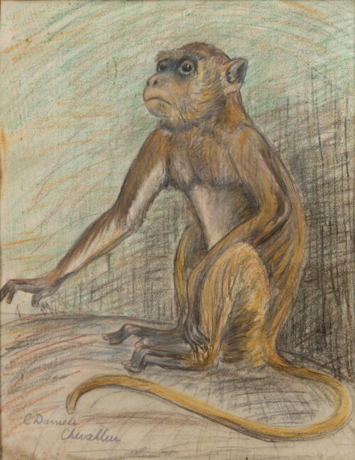 Co Daniels-Chevallier-A monkey