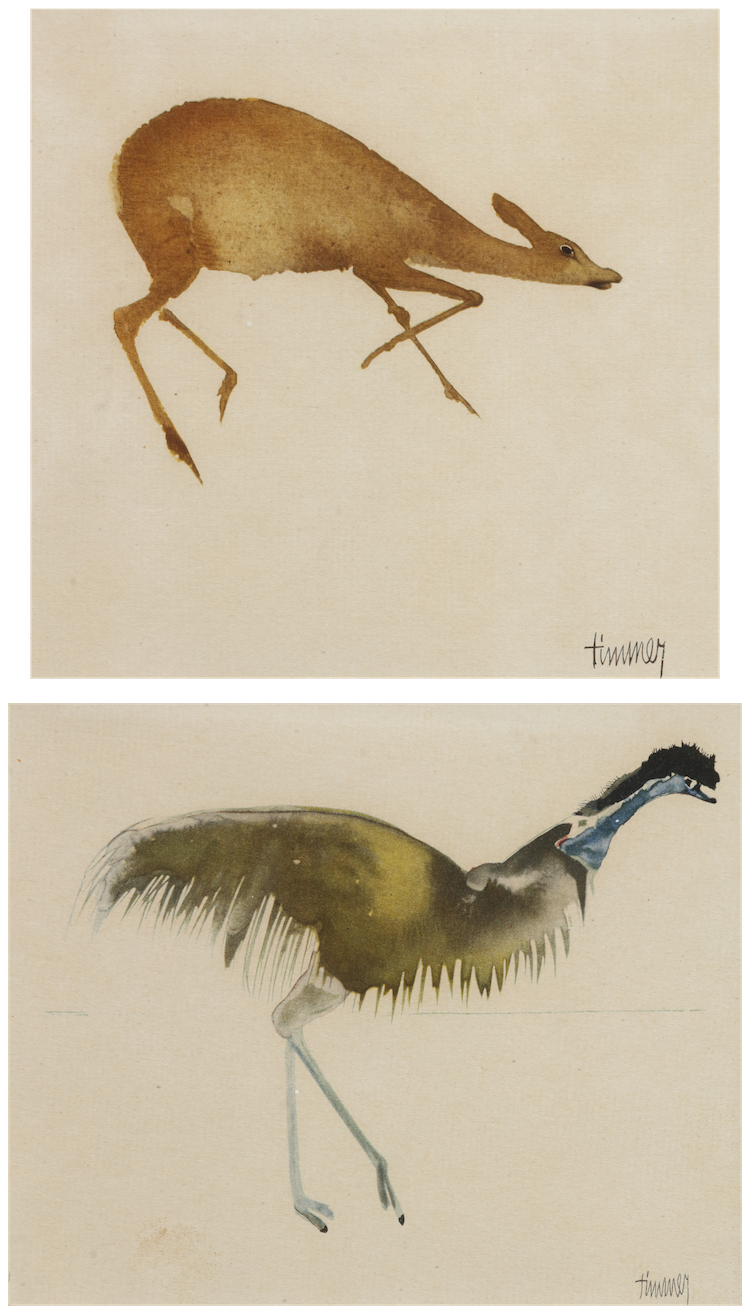 Kees Timmer-Roe Deer and Cassowary Bird