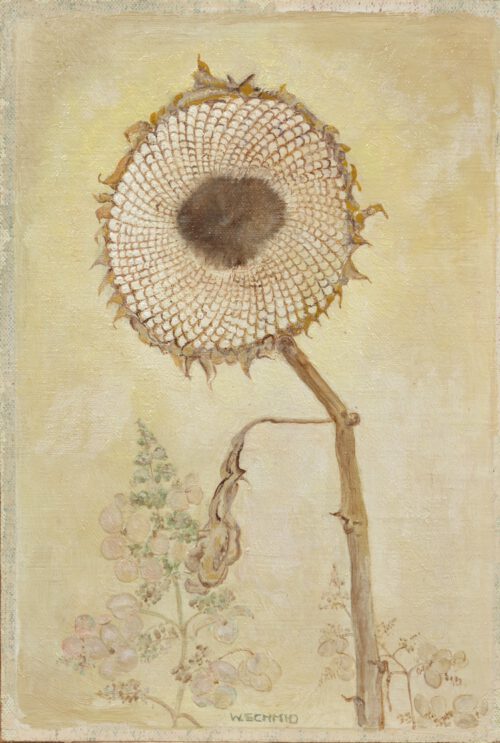 Wera Wittenberg-Schmid-Sunflower and lilacs