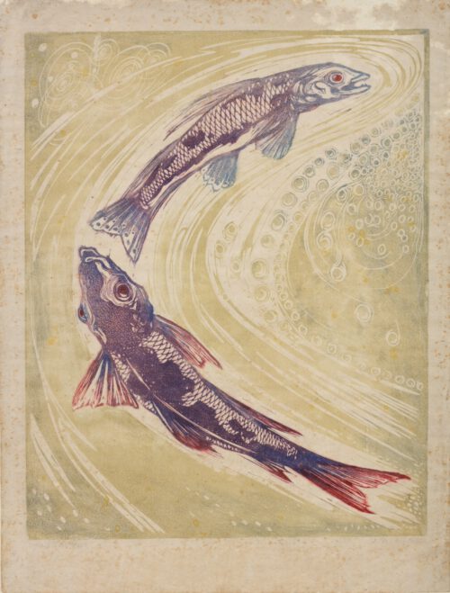 Jacobus Gerardus Veldheer-Fishes