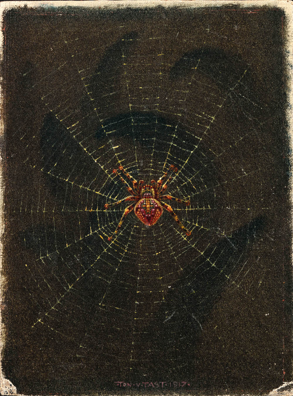 Ton van Tast - Spider in a web