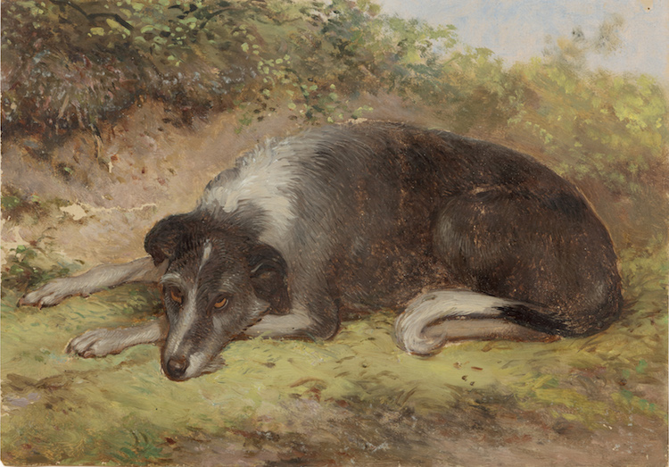 Ary Johannes Lamme - Dog
