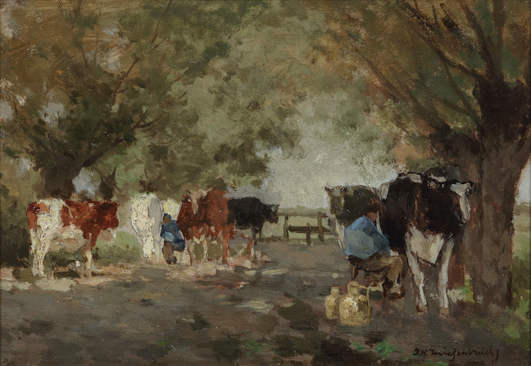 weissenbruch-milking time