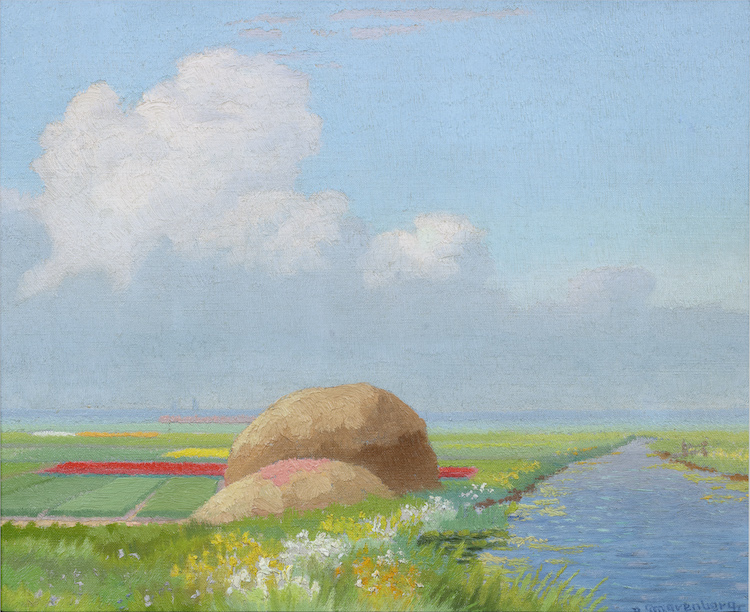 Dirk Smorenberg-Bulb-fields
