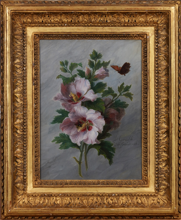 Cornelis Corneille van Spaendonck-Hisbiscus and a butterfly