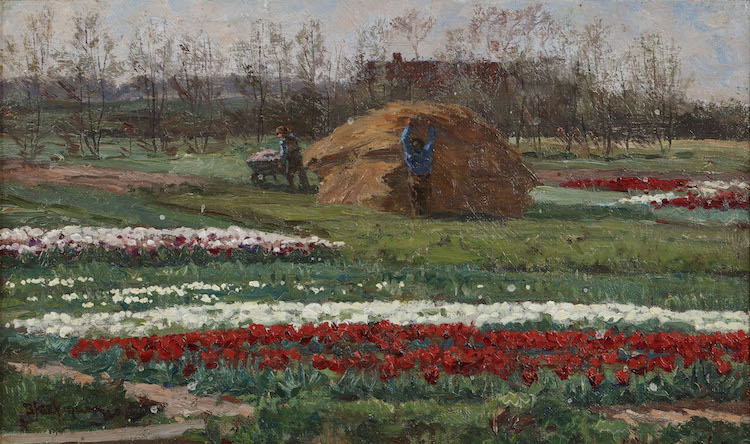 Wilhelm Bleckmann-Bulbfields near Sassenheim,the Netherlands