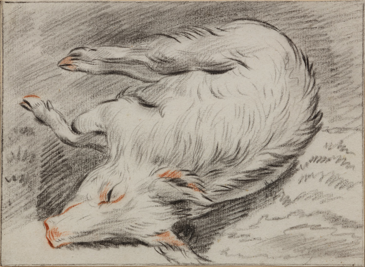 Pieter Gaal-A pig in repose