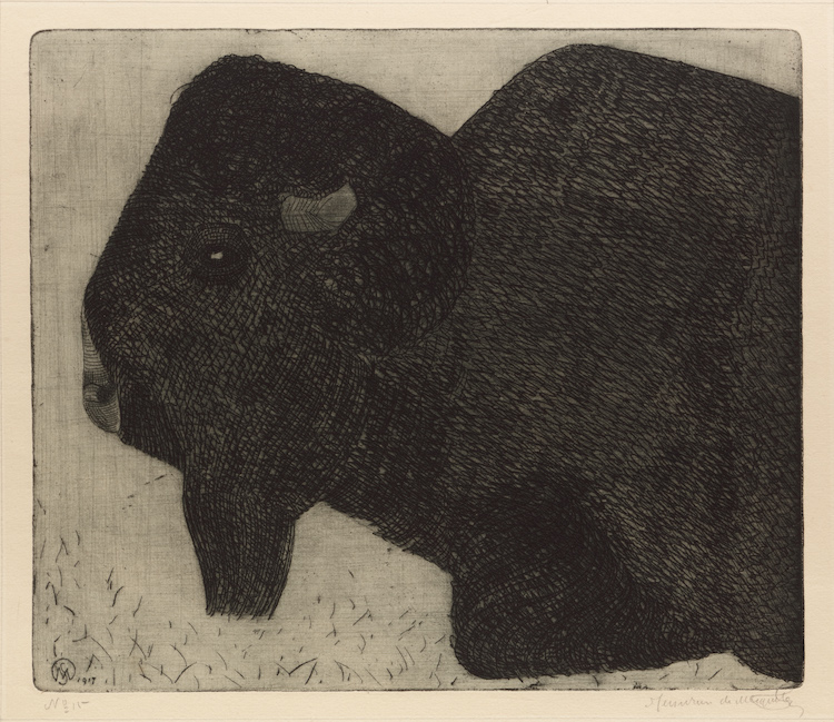 Samuel Jessurun de Mesquita-A Bison