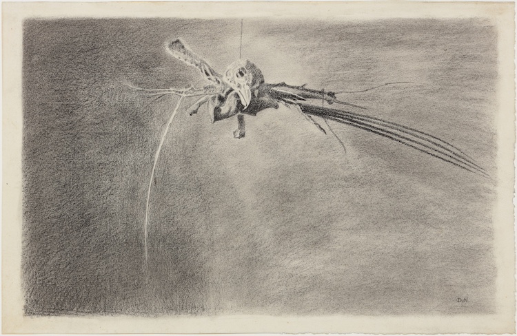 Dirk Nijland-Bird Skeleton