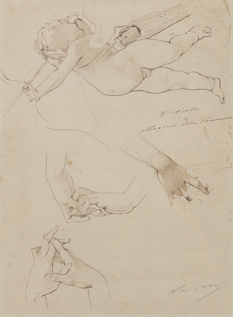 Nicolaas van der Waay-Studies