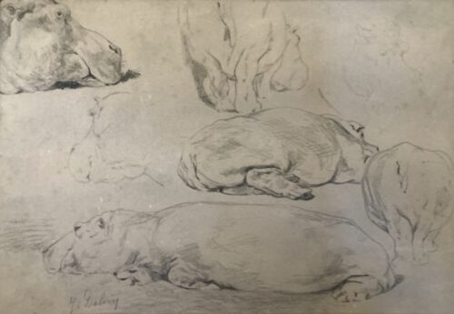 Jean Delvin-Hippos