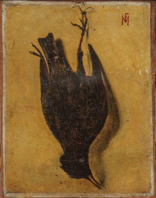 Frits Mondriaan-Dead Starling Frits Mondriaan-Dead Starling