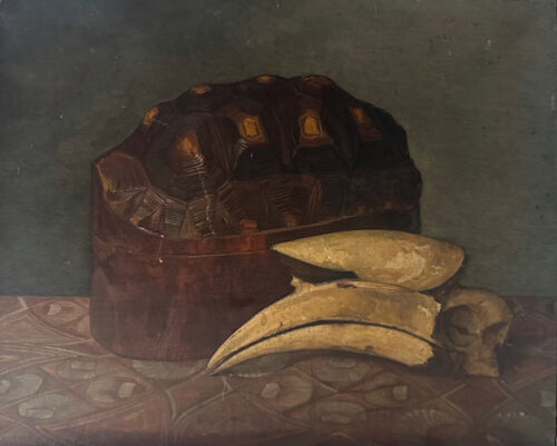 Julie de Graag-Still life with a turtle box and a skull of a hornbill Julie de Graag-Still life with a turtle box and a skull of a hornbill