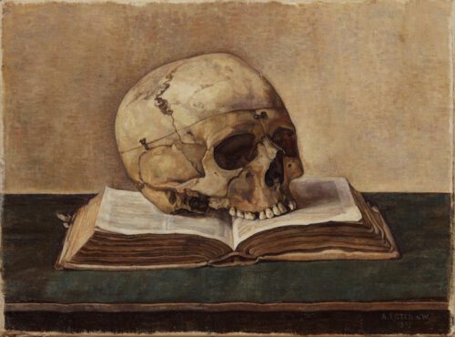 Anna Egter van Wissekerke-Vanitas; a skull on a book Anna Egter van Wissekerke-Vanitas; a skull on a book