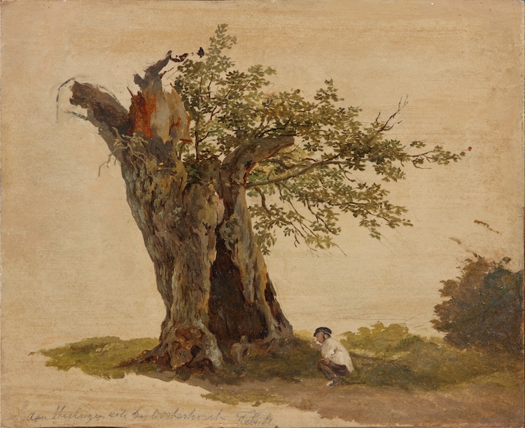 Frans Lebret-Holy Oak near Oosterhout, North Brabant, the Netherlands