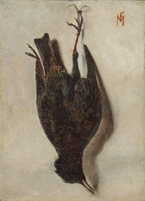 Frits Mondriaan-Dead Starling Frits Mondriaan-Dead Starling