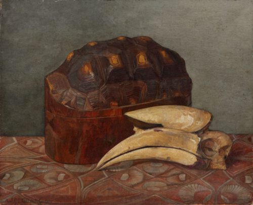 Julie de Graag-Still life with a turtle box and a skull of a hornbill Julie de Graag-Still life with a turtle box and a skull of a hornbill
