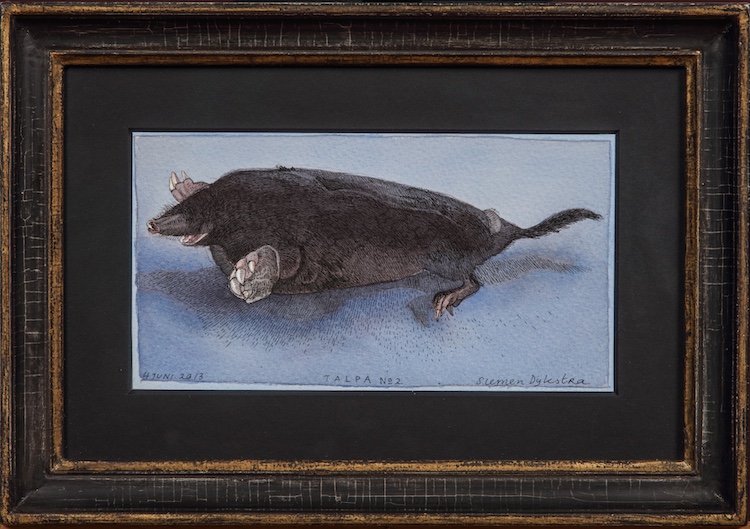 Siemen Dijkstra-A mole