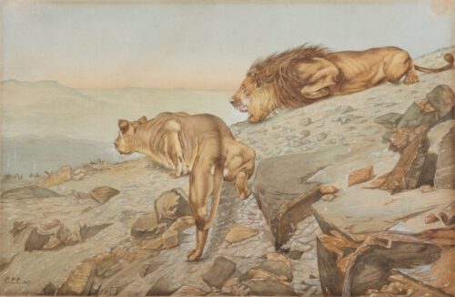 Christiaan Lodewijk Loder-Lions sneaking up an Arab camp Christiaan Lodewijk Loder-Lions sneaking up an Arab camp