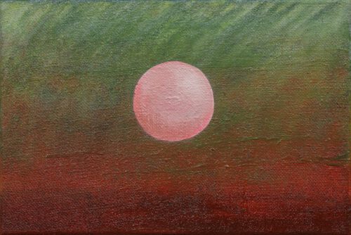 Francoise Stoop-Pink point