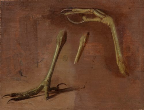 Jean Maxime Claude-A study of bittern legs Jean Maxime Claude-A study of bittern legs
