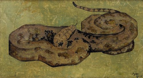 Ayzo Epeus van Humalda van Eysinga-A snake