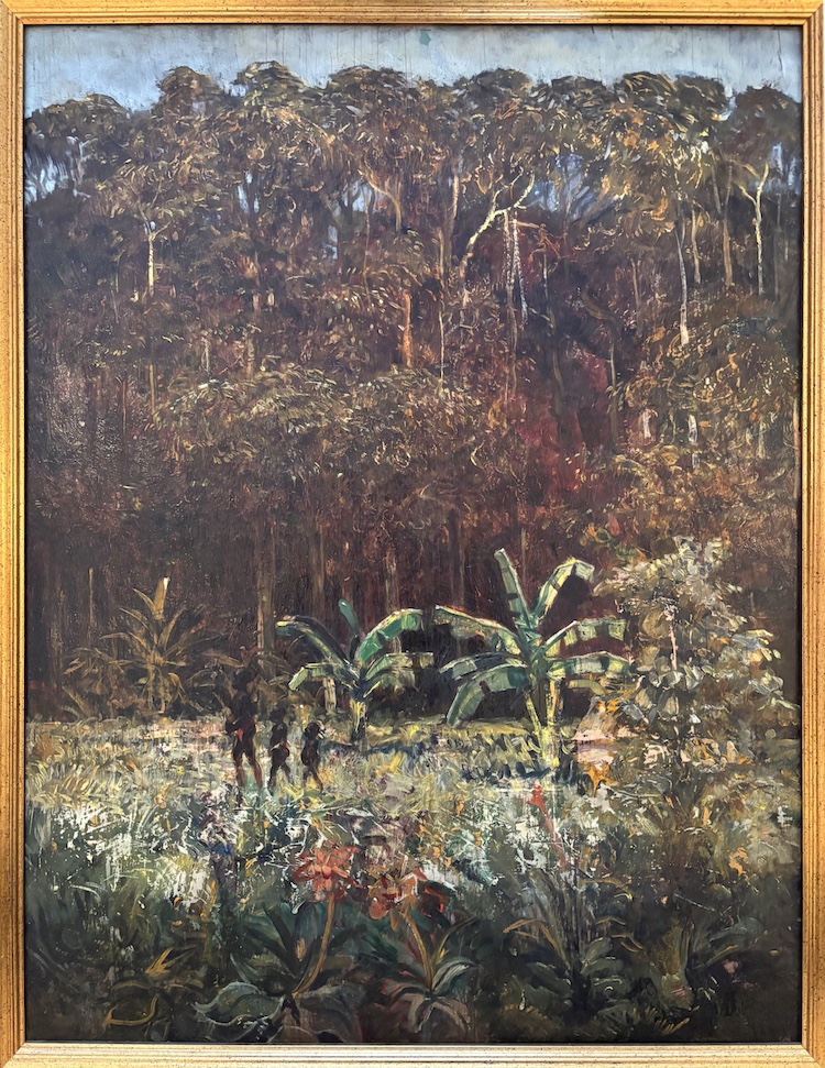 Frans Simon Baljon-Oerbos-Primary Forest-Republic of Suriname